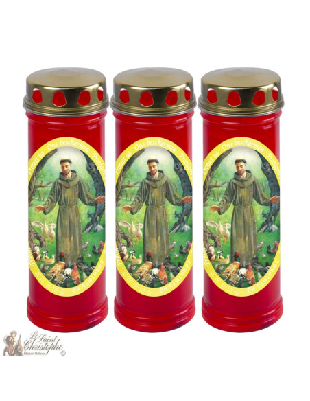 Der Heilige Franziskus von Assisi