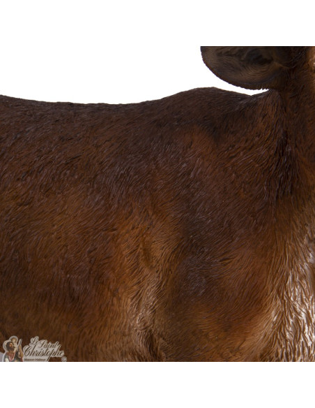 Carne di manzo colorata per il presepe di Natale - 40 -50 cm