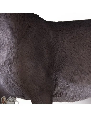 Burro de pie para la cuna de Navidad - 60-80 cm