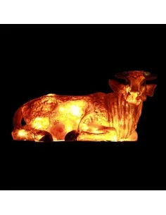Bœuf coloré lumineux Led - 80 cm