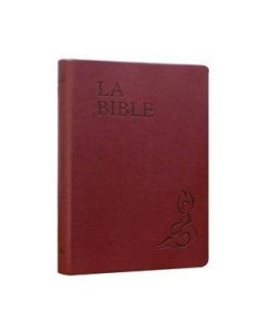 bible spokesperson-of-life-illustrated-valloton-soft-red
