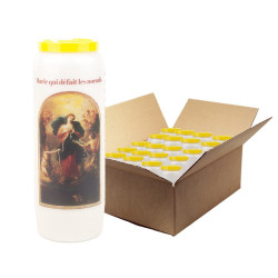 Novena María Deshacer los Nudos Velas - 20 piezas