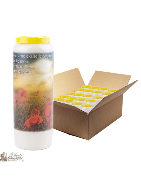 Prayer Jesus Novena candles - 20 pieces