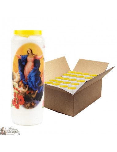 Jungfrau Maria Novene Kerzen von guter Qualität - 20 Stück