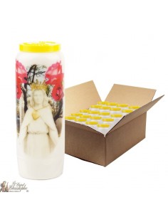 Virgin Novena candles marries Roses - 20 pieces
