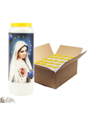Bougies de Neuvaine Notre Dame de bonne délivrance - 20 pièces