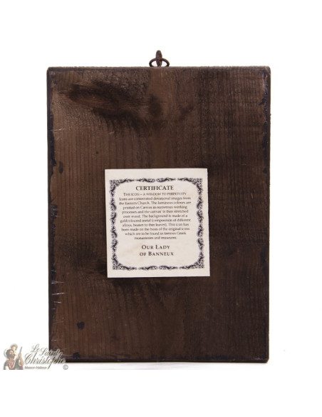 Banner Icon large model