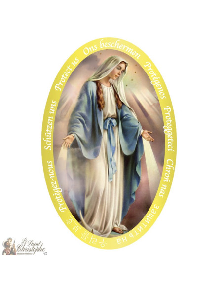 Adesivo della Vergine Miracolosa