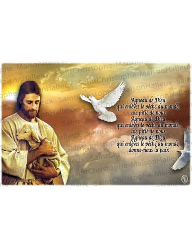 Postcard 15 Stations of the Way of the Cross prayer - magnetic