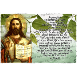 Cartolina Cristo misericordioso - magnetica