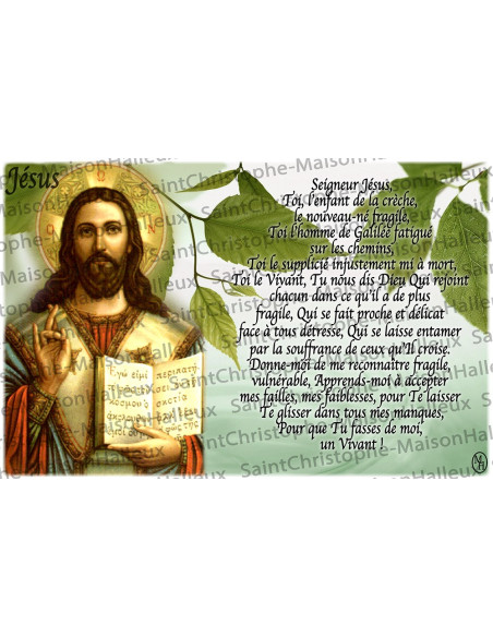 Postcard Christ Merciful prayer - magnetic