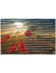 Postcard Christ Merciful prayer - magnetic