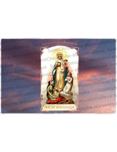 Cartolina Madonna di Montligeon - magnetica