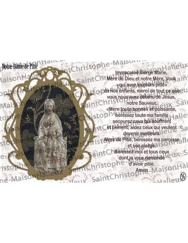 Cartolina Madonna di Montligeon preghiera - magnetica
