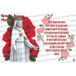 Ansichtkaart Onze-Lieve-Vrouw van Barmhartigheid gebed - magnetisch