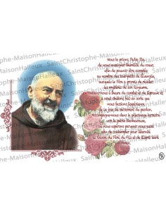 Carte postale Vierge des Pauvres de Banneux N.D prière - aimantée