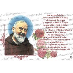 Tarjeta de la Virgen de los Pobres de Banneux N.D. oración - imán