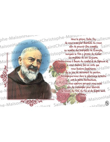 Virgin Card of the Poor of Banneux N.D. prayer - magnet