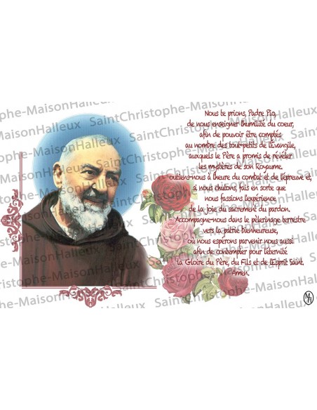 Tarjeta de la Virgen de los Pobres de Banneux N.D. oración - imán