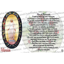 Postcard Our Lady of Pellevoisin prayer - magnetic