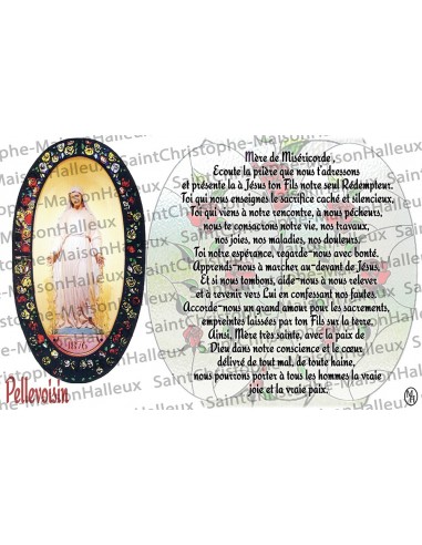 Postcard Our Lady of Pellevoisin prayer - magnetic