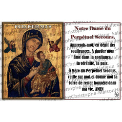 Postal Padre Damián oración - magnética
