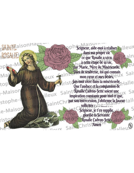 Postcard Saint Rosalie prayer - magnetic