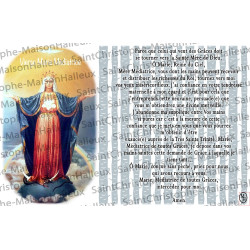Postal Oración de Virgen María Medianera - magnética