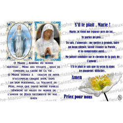 Postcard Virgin of Banneux and Miraculous Virgin prayer - magnetic