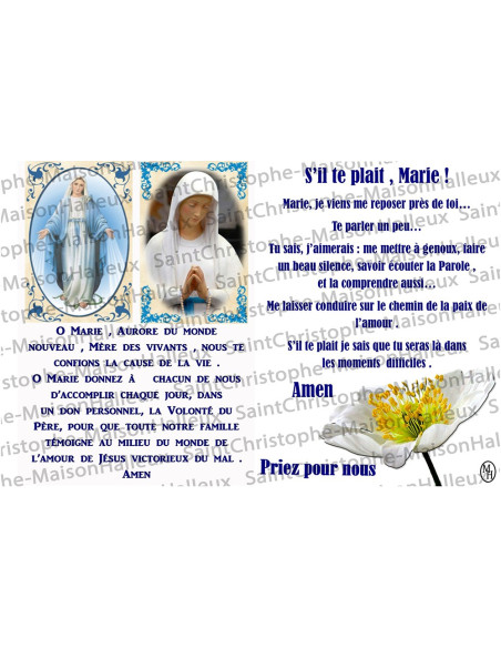 Postcard Virgin of Banneux and Miraculous Virgin prayer - magnetic