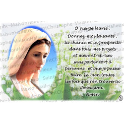 Ansichtkaart Maagd Maria gebed - magnetisch