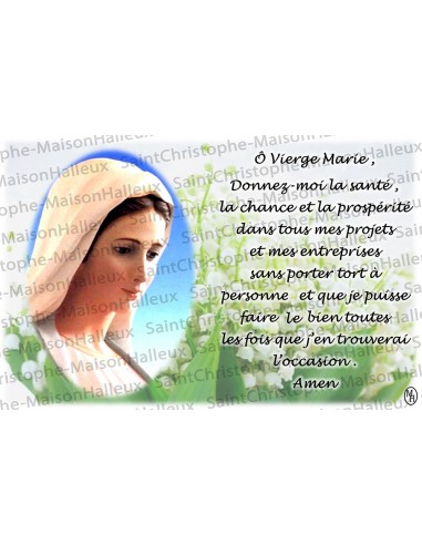 Ansichtkaart Maagd Maria gebed - magnetisch