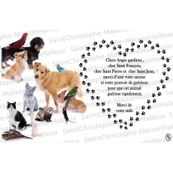 Carte postale Animaux prière - aimantée
