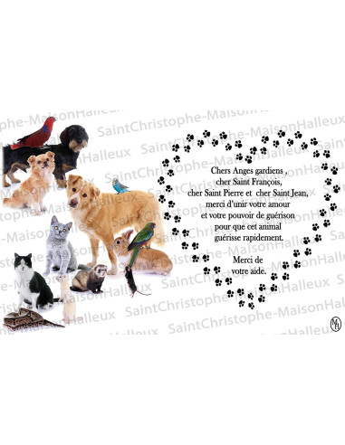 Postal Oración de Animales - magnética