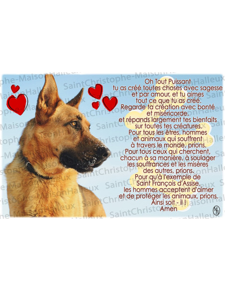 Postal Oración de Animales - magnética