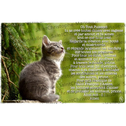 Ansichtkaart Dieren gebed - magnetisch