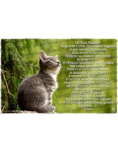 Postcard Animals prayer - magnetic