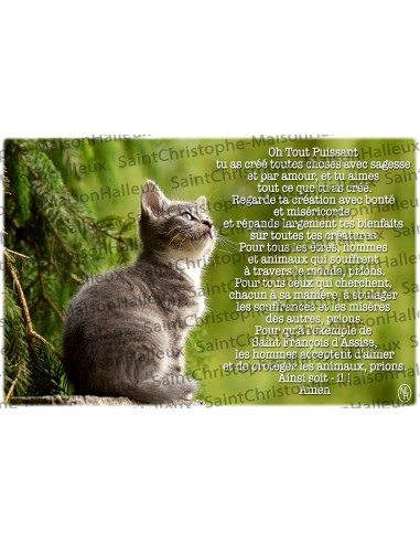 Carte postale Animaux prière - aimantée