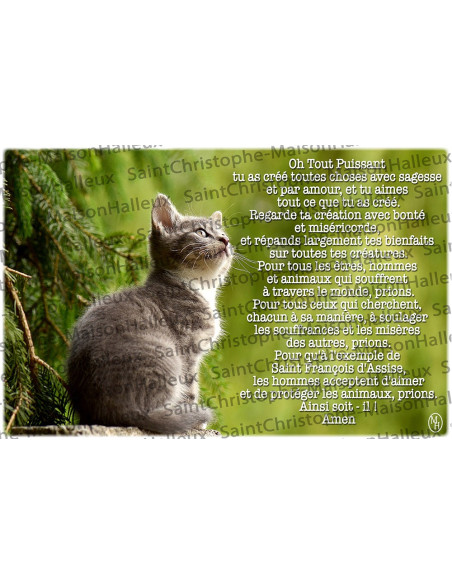 Postal Oración de Animales - magnética