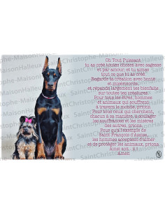 Postcard Animals prayer - magnetic