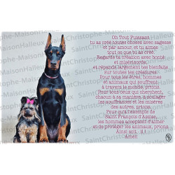 Postal Oración de Animales - magnética