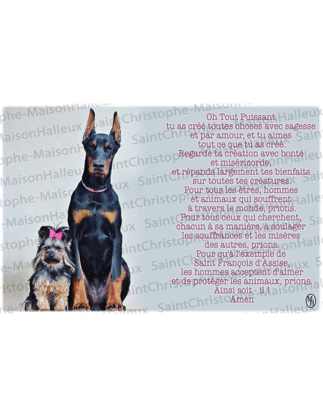 Carte postale Animaux prière - aimantée