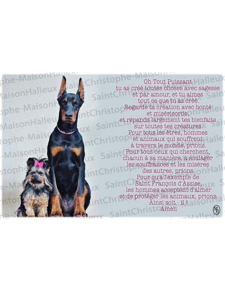 Postcard Animals prayer - magnetic