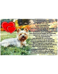 Postcard Animals prayer - magnetic