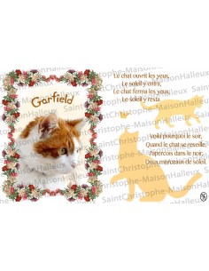 Carte postale Chat prière - aimantée