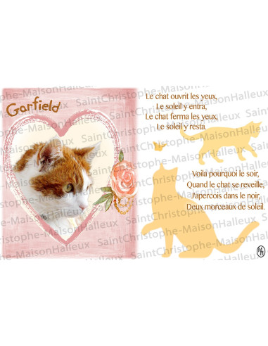Postkarte Katze Gebet - magnetisch