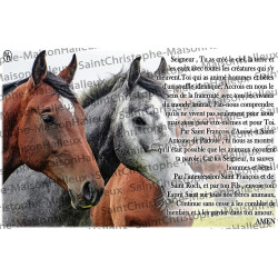 Postkarte Tiere Gebet - magnetisch