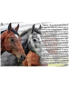 Postal Oración de Animales - magnética