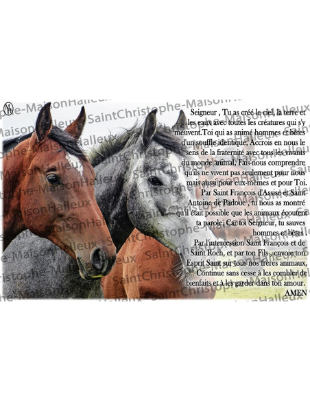 Ansichtkaart Dieren gebed - magnetisch