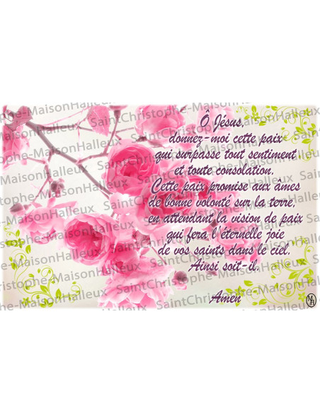 Carte postale Jésus prière - aimantée